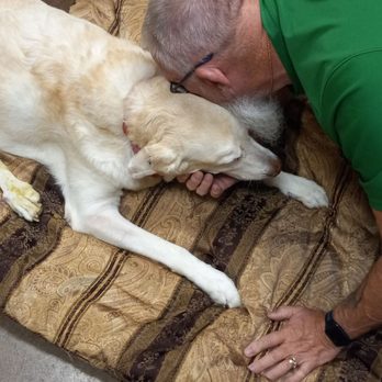 VCA Lecanto Animal Hospital - My hubby kissing Bella for the final time. - Veterinarians Near Me - Lecanto, Florida VCA Lecanto Animal Hospital - My hubby kissing Bella for the final time. - Veterinarians Near Me - Lecanto, Florida