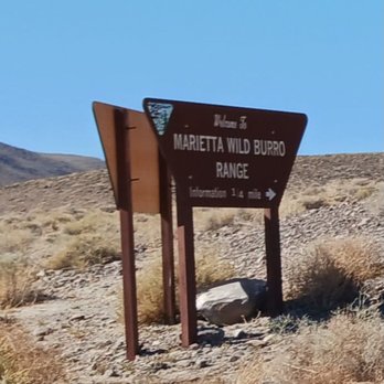 Marietta Wild Burro Range - Parks Near Me - Hawthorne, Nevada Marietta Wild Burro Range - Parks Near Me - Hawthorne, Nevada