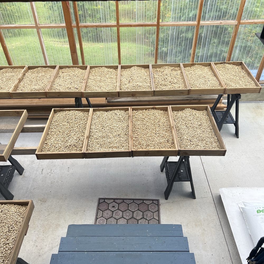 Hog Heaven Coffee - This is the drying room. - Coffee Roasteries Near Me - Nīnole, Hawaii Hog Heaven Coffee - This is the drying room. - Coffee Roasteries Near Me - Nīnole, Hawaii