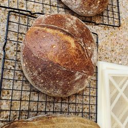 Grain²