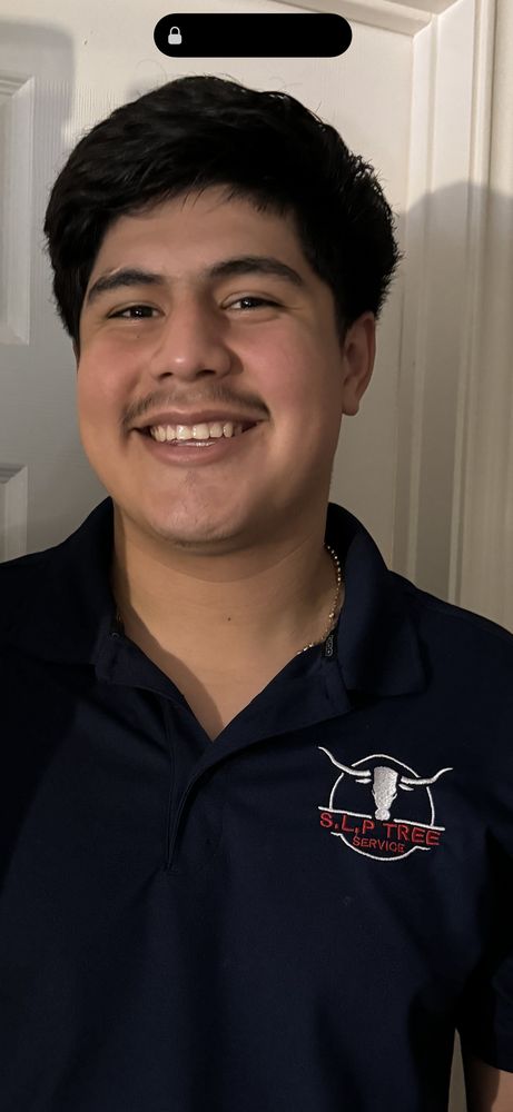 SLP Tree Service - tree service in Houston, TX