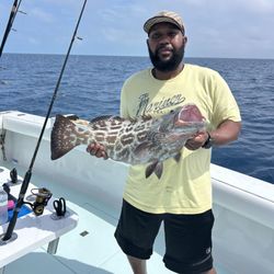 Southpaw Fishing - Black Grouper