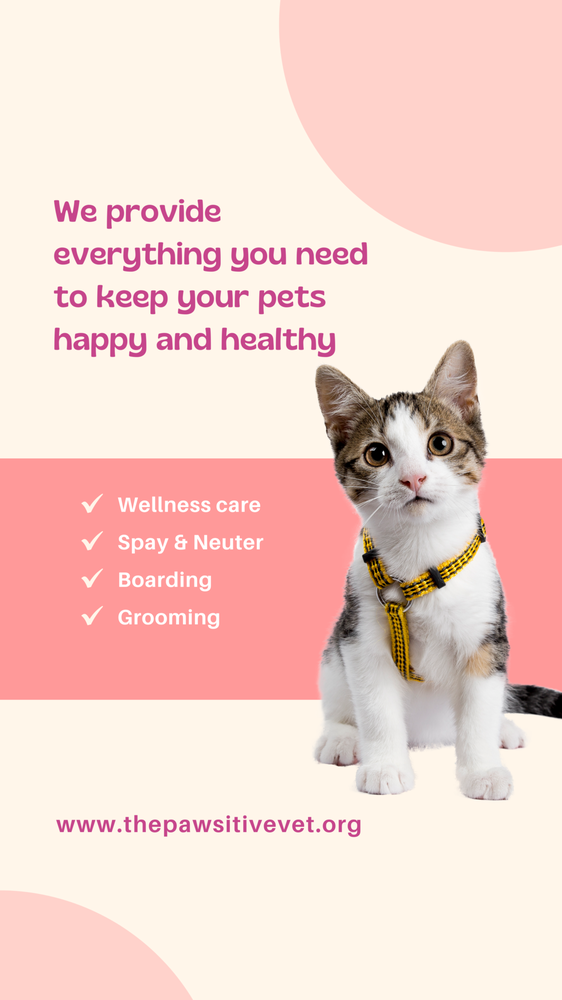Pawsitive Vet Care - pet boarding facility in Bethel, OH