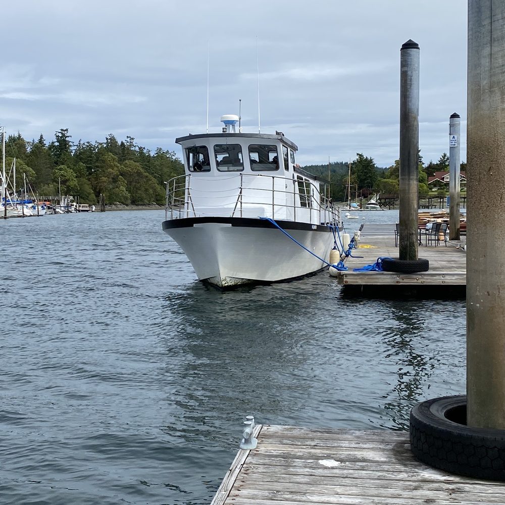 Deer Harbor Charters - Our boat Squiddle (SP) - Boating Near Me - Eastsound, Washington Deer Harbor Charters - Our boat Squiddle (SP) - Boating Near Me - Eastsound, Washington