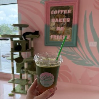 Cats and Caffeine - Matcha lemonade - Coffee & Tea Near Me - Tampa Bay, Florida Cats and Caffeine - Matcha lemonade - Coffee & Tea Near Me - Tampa Bay, Florida