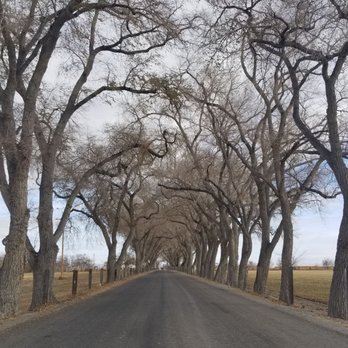 Frey Ranch Farmers + Distillers - The road to Frey Ranch - Distilleries Near Me - Fallon, Nevada
