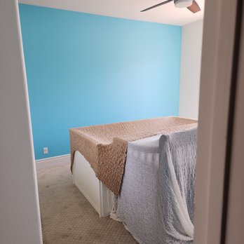 1. Pena Painting Services