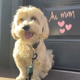 One of the daily photos from Toby's walks!