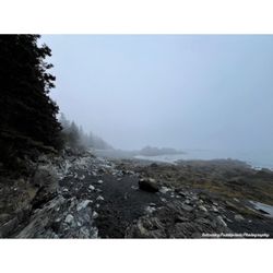 Quoddy Head State Park - | #intenselypassionatephotography