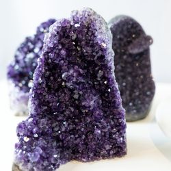 Blooming Moon Crystals