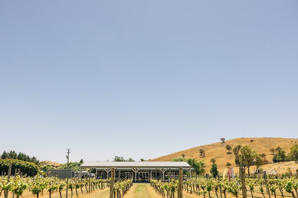 Four Winds Vineyard by null