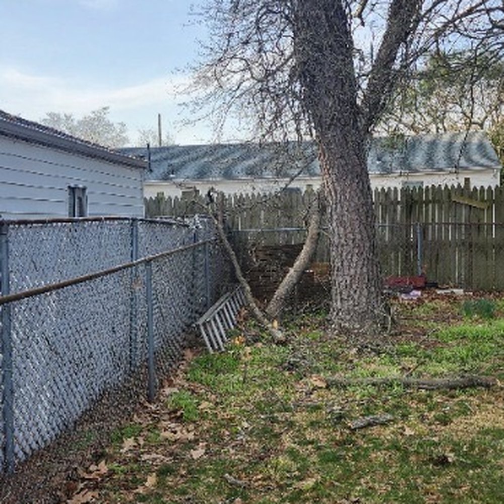 Baum Enterprises - Huge hanging limb that could potentially destroy the neighbors fence. Within a day it was cut down and removed. - Tree Services Near Me Baum Enterprises - Huge hanging limb that could potentially destroy the neighbors fence. Within a day it was cut down and removed. - Tree Services Near Me