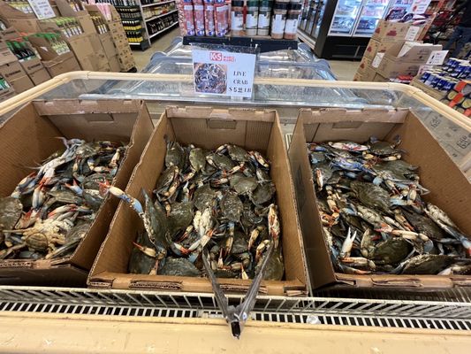 K&S World Market by null