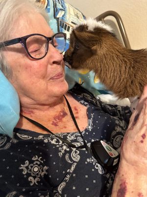 Operation: Baby Goats - We partner with Austin non-profits and local artists to bring joy to our residents. Operation: Baby Goats - We partner with Austin non-profits and local artists to bring joy to our residents.