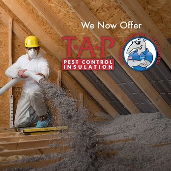 J&J Exterminating New Orleans - Pest Control Near Me - New Orleans, Louisiana J&J Exterminating New Orleans - Pest Control Near Me - New Orleans, Louisiana