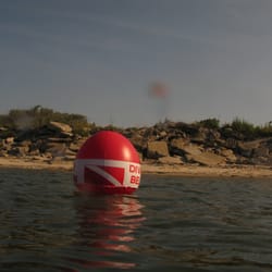 Good Life Divers