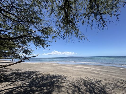 Olowalu Beach by null