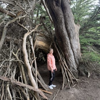 Wavecrest Open Space - We were gonna stay in this tree shelter but lil Lucie wanted running water lol - Beaches Near Me - Half Moon Bay, California Wavecrest Open Space - We were gonna stay in this tree shelter but lil Lucie wanted running water lol - Beaches Near Me - Half Moon Bay, California