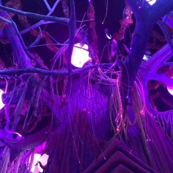 Otherworld - The tree - Performing Arts Near Me - Columbus, Ohio
