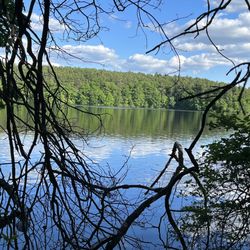 Whitehall State Park