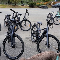 Tbird Ebikes - 3 OHM, 7 Velecs rented