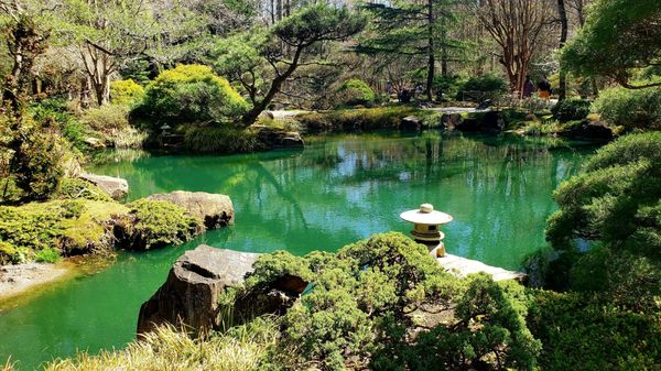 Gibbs Gardens by null