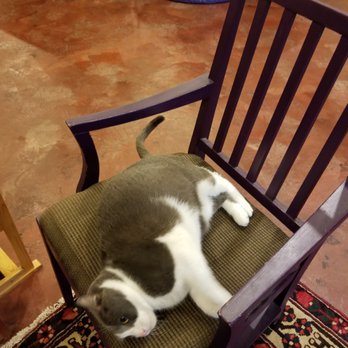 Loganberry Books - This just screams, "Pet Me!" - Bookstores Near Me - Shaker Heights, Ohio Loganberry Books - This just screams, "Pet Me!" - Bookstores Near Me - Shaker Heights, Ohio