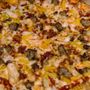 Photo of Domino's Pizza