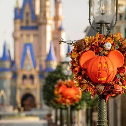 Butterfly Journeys Travel Agency