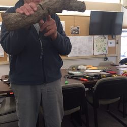 Town of Woodbury - The proper way to cut a thick branch