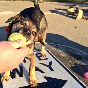 Jackson Bark - Dog Parks Near Me - Chicago, Illinois
