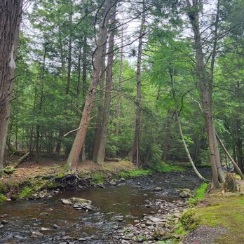 Moyers Grove Campground - RV Parks Near Me - Wapwallopen, Pennsylvania Moyers Grove Campground - RV Parks Near Me - Wapwallopen, Pennsylvania