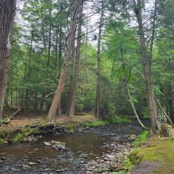 Moyers Grove Campground