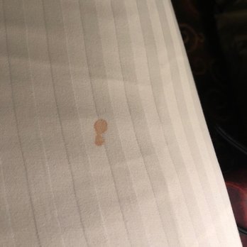 Baymont by Wyndham Winchester - Bed with blood droplets - Hotels Near Me - Winchester, Kentucky Baymont by Wyndham Winchester - Bed with blood droplets - Hotels Near Me - Winchester, Kentucky