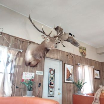 Buckshot Deli & Diner - Wall art - American Near Me - Niland, California