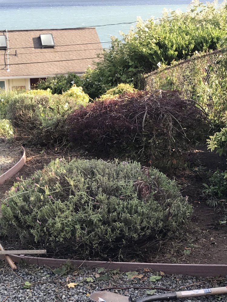 Slide of Cline & Maib