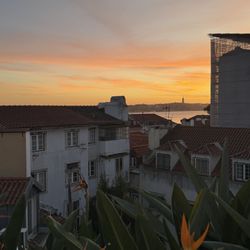 Memmo Alfama - What a view!
