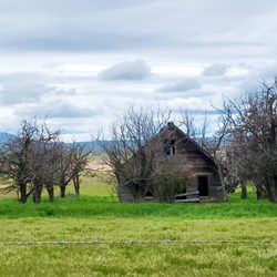 Goldendale Mountain Identifier