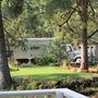 Photo of Arbor 1 Tree Service