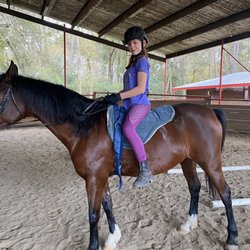 Eire Equine Riding Academy - Riding bareback, horse, horseback riding