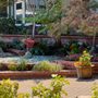 Photo of Huei's Garden