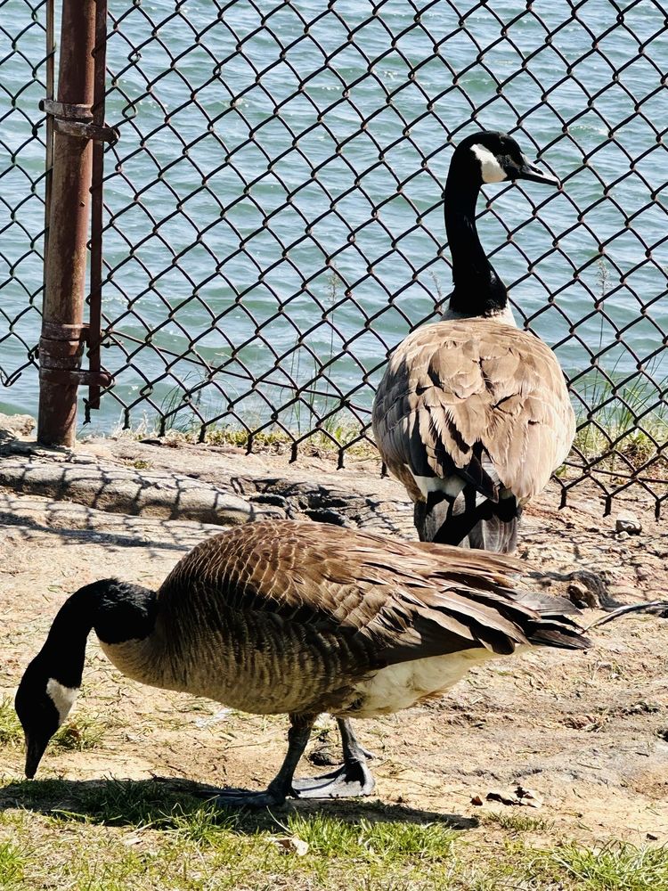 Hudson Park and Beach