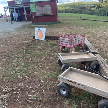 Carter Mountain Orchard - Pick Your Own Farms Near Me - Charlottesville, Virginia