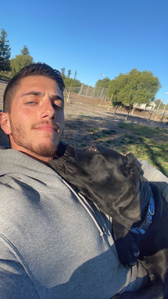 BAR K9 DOG TRAINING Updated July 2024 52 Photos Moorpark, California Pet Training