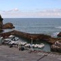 Photo of Le Port des Pêcheurs