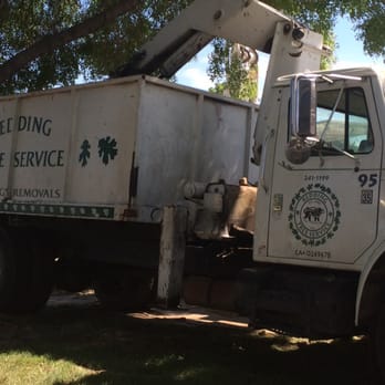 Redding Tree Service - Redding Tree Service doing it right the 1st time! - Tree Services Near Me - Redding, California