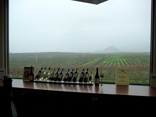 Edna Valley Vineyard by null