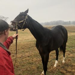 Ingleside Training Center - Lobsta