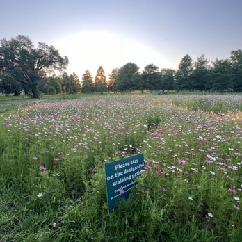 City Park - Walk-through flower field - Parks Near Me - New Orleans, Louisiana City Park - Walk-through flower field - Parks Near Me - New Orleans, Louisiana