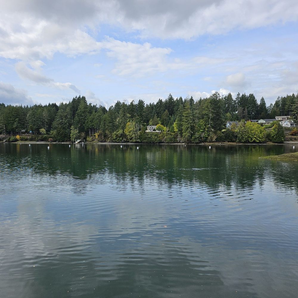 Jarrell Cove State Park - Peaceful natural scenery - Parks Near Me - Shelton, Washington Jarrell Cove State Park - Peaceful natural scenery - Parks Near Me - Shelton, Washington